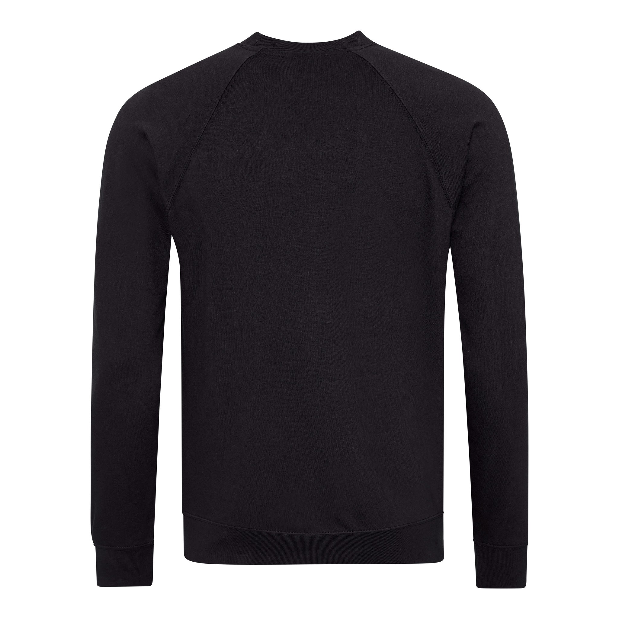 AWDis Academy Raglan Sweatshirt AC001 Adult/Teen Boy Girl Plain Uniform Jumper - Picture 11 of 32