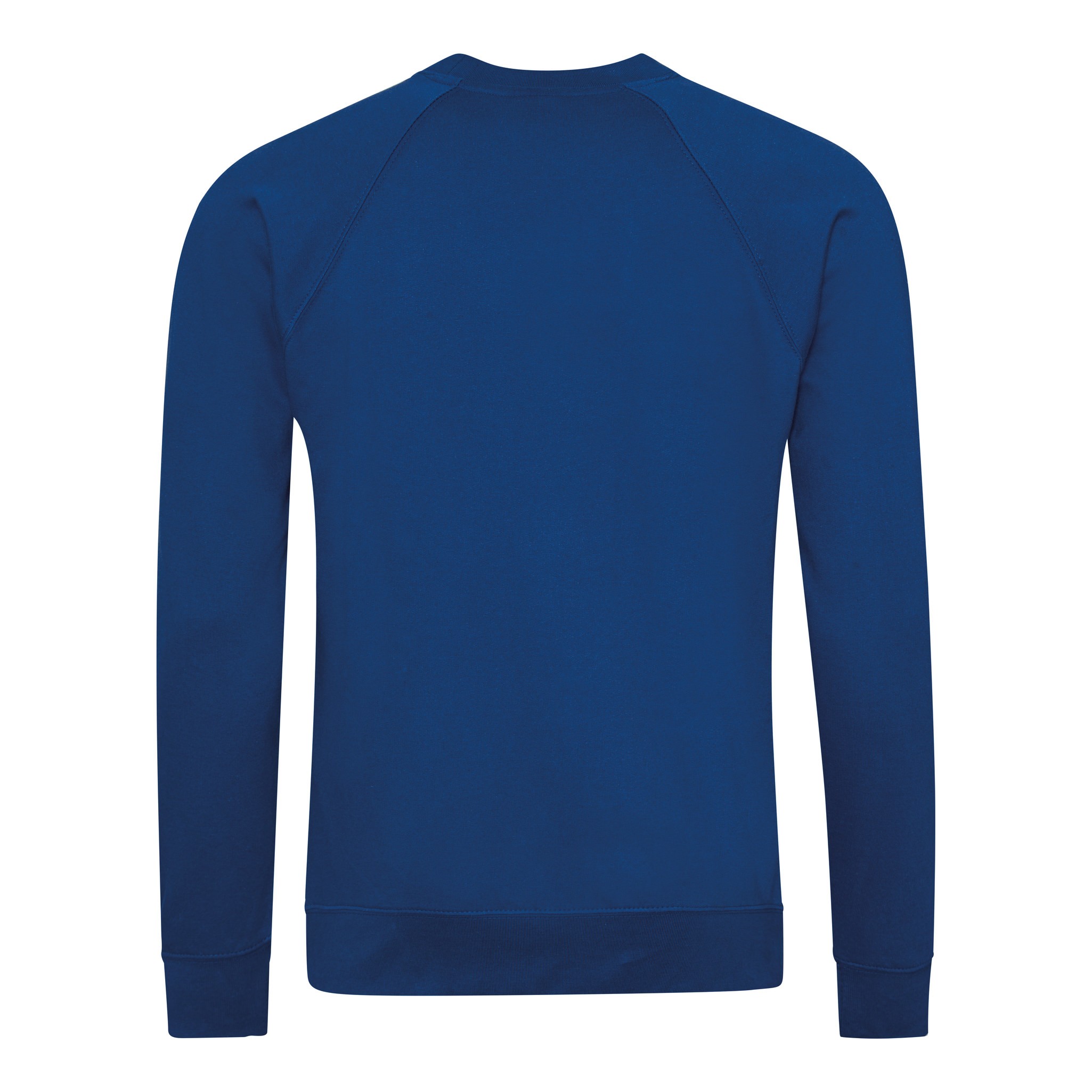 AWDis Academy Raglan Sweatshirt AC001 Adult/Teen Boy Girl Plain Uniform Jumper - Picture 29 of 34