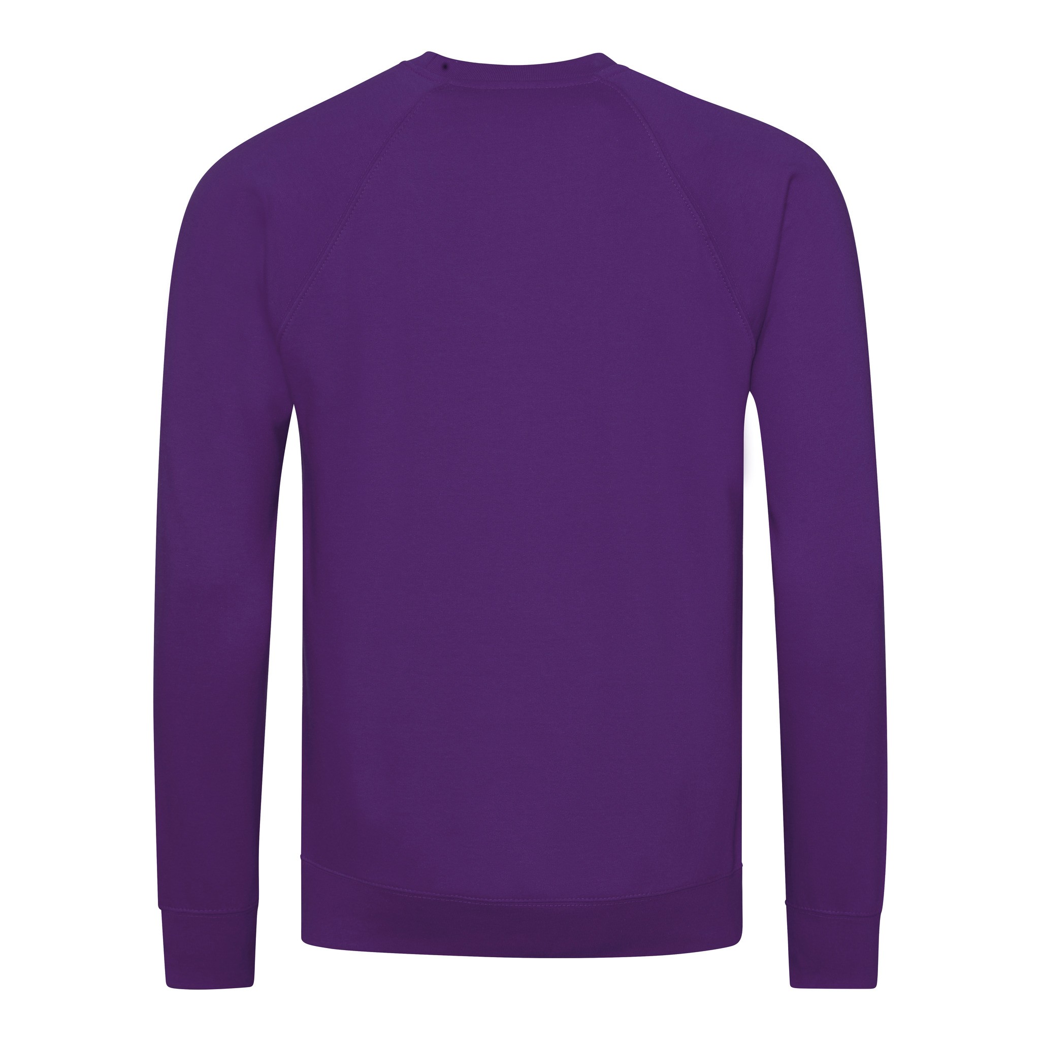 AWDis Academy Raglan Sweatshirt AC001 Adult/Teen Boy Girl Plain Uniform Jumper - Picture 25 of 32