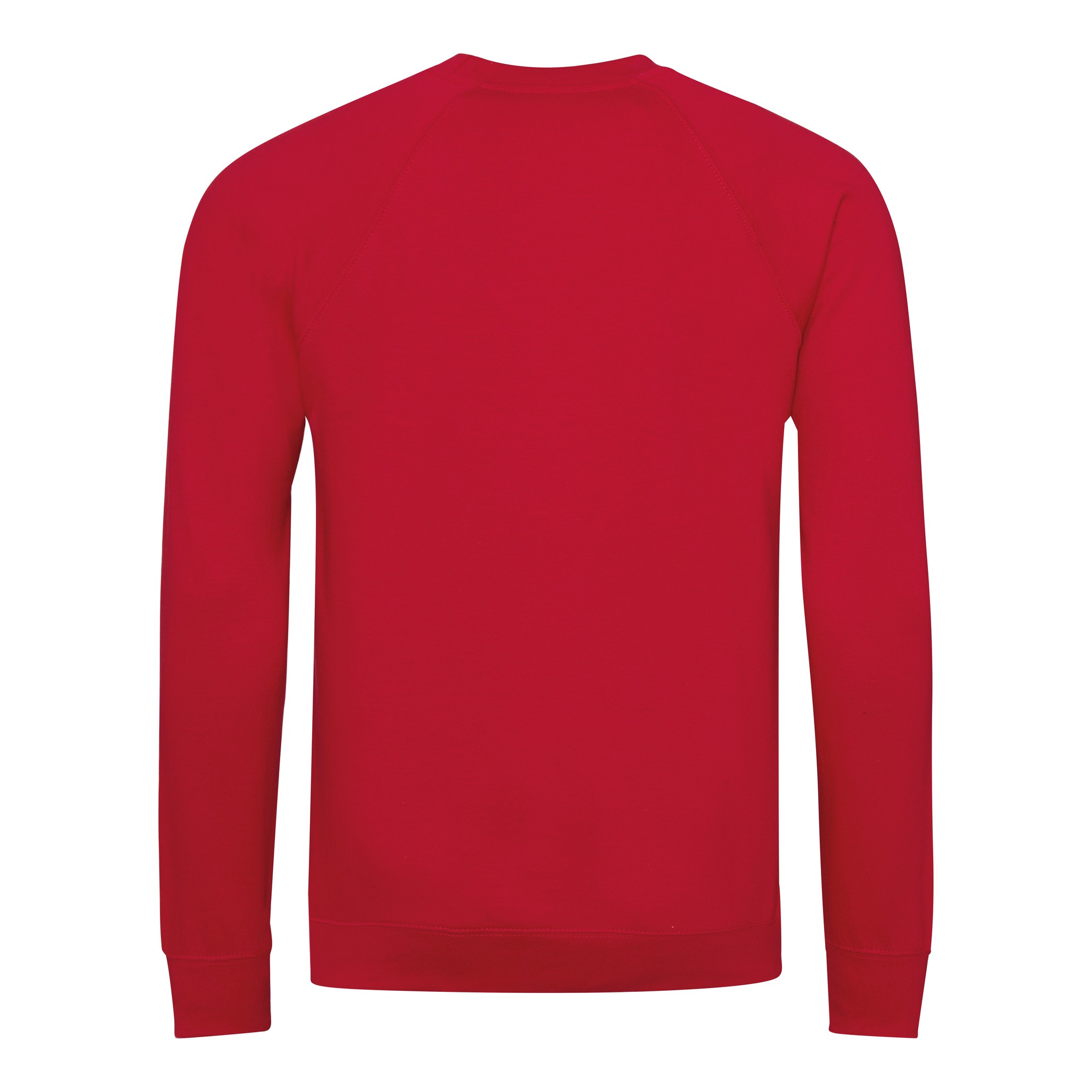 AWDis Academy Raglan Sweatshirt AC001 Adult/Teen Boy Girl Plain Uniform Jumper - Picture 29 of 32