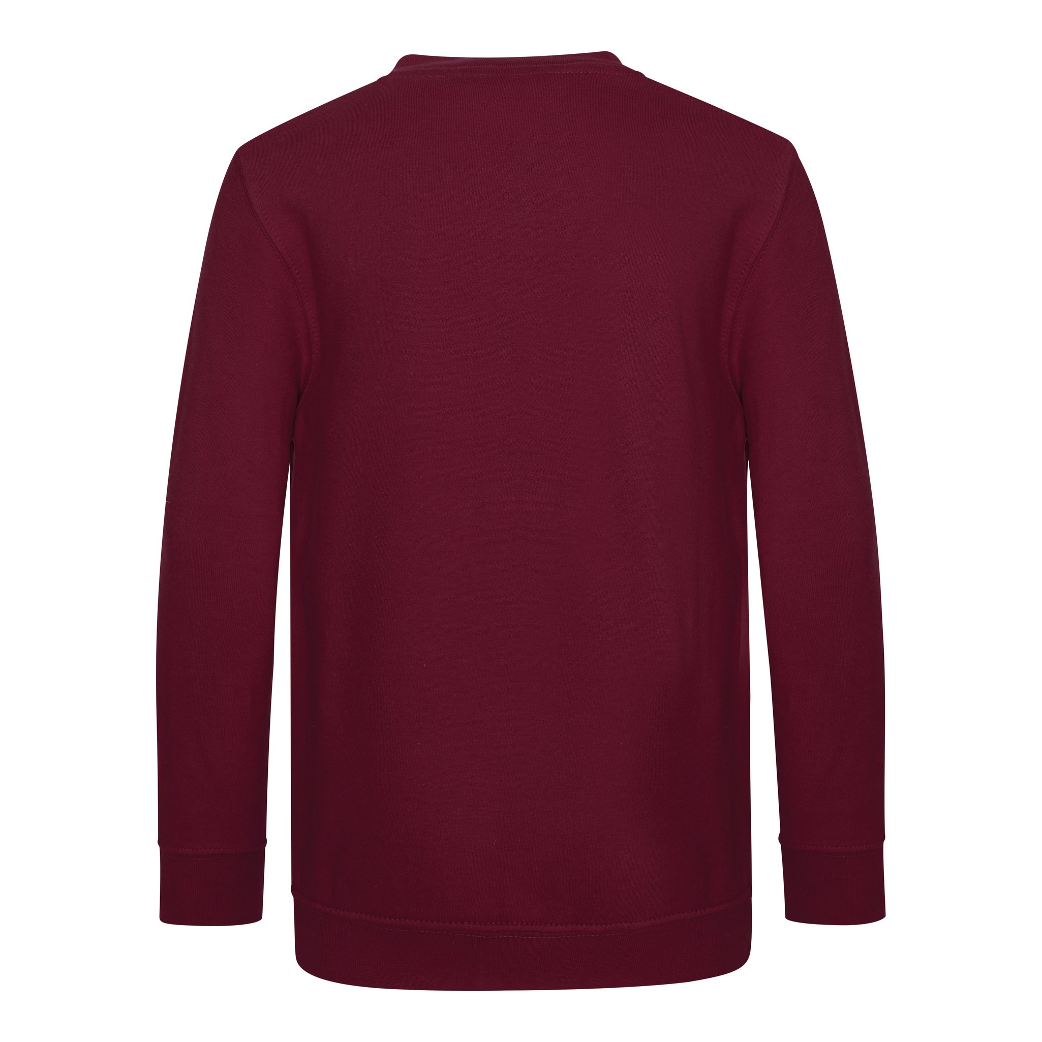 AWDis Academy V-neck Sweatshirt (AC003J) - Kids Boys Girls School Uniform Jumper - Picture 21 of 27
