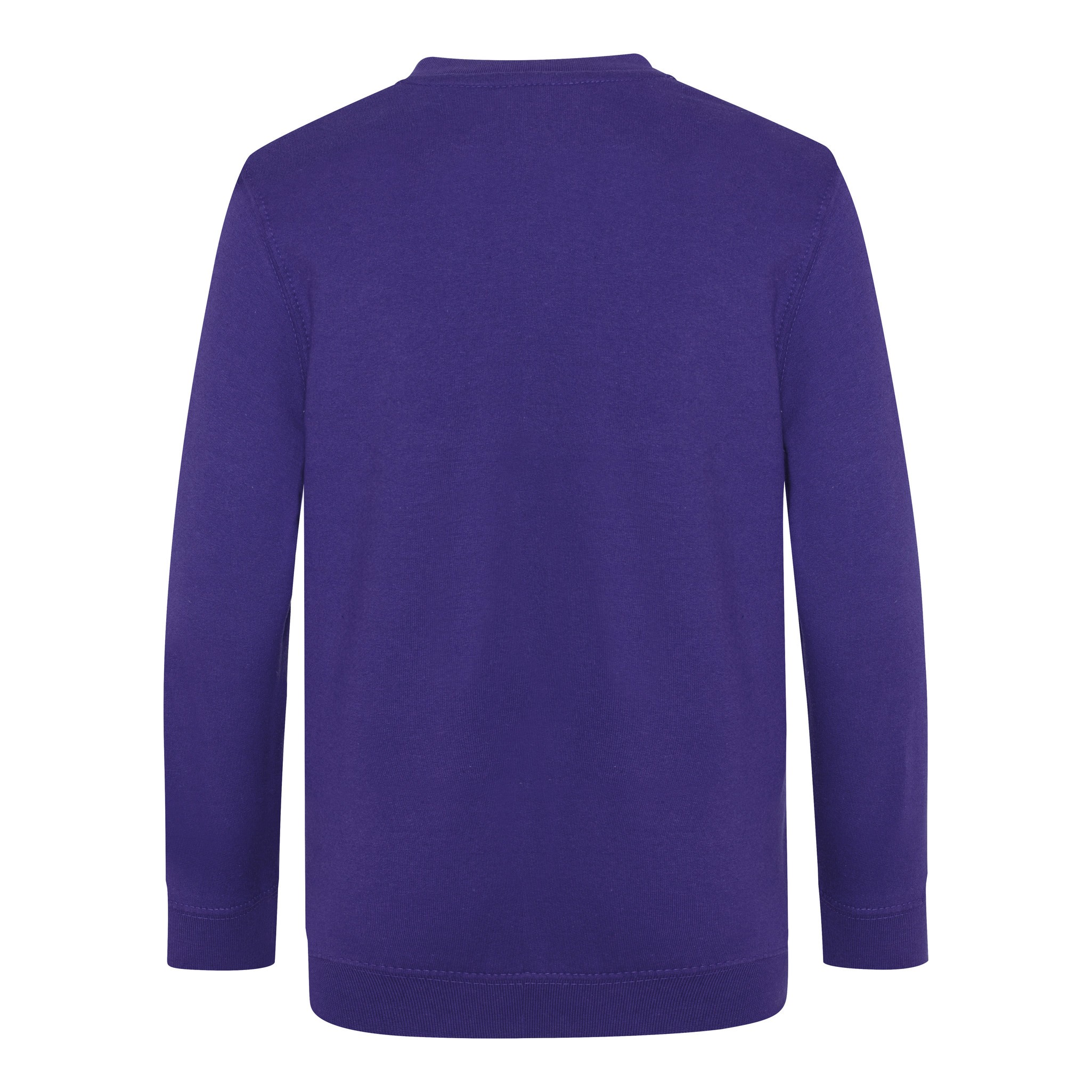 AWDis Academy V-neck Sweatshirt (AC003J) - Kids Boys Girls School Uniform Jumper - Picture 9 of 27