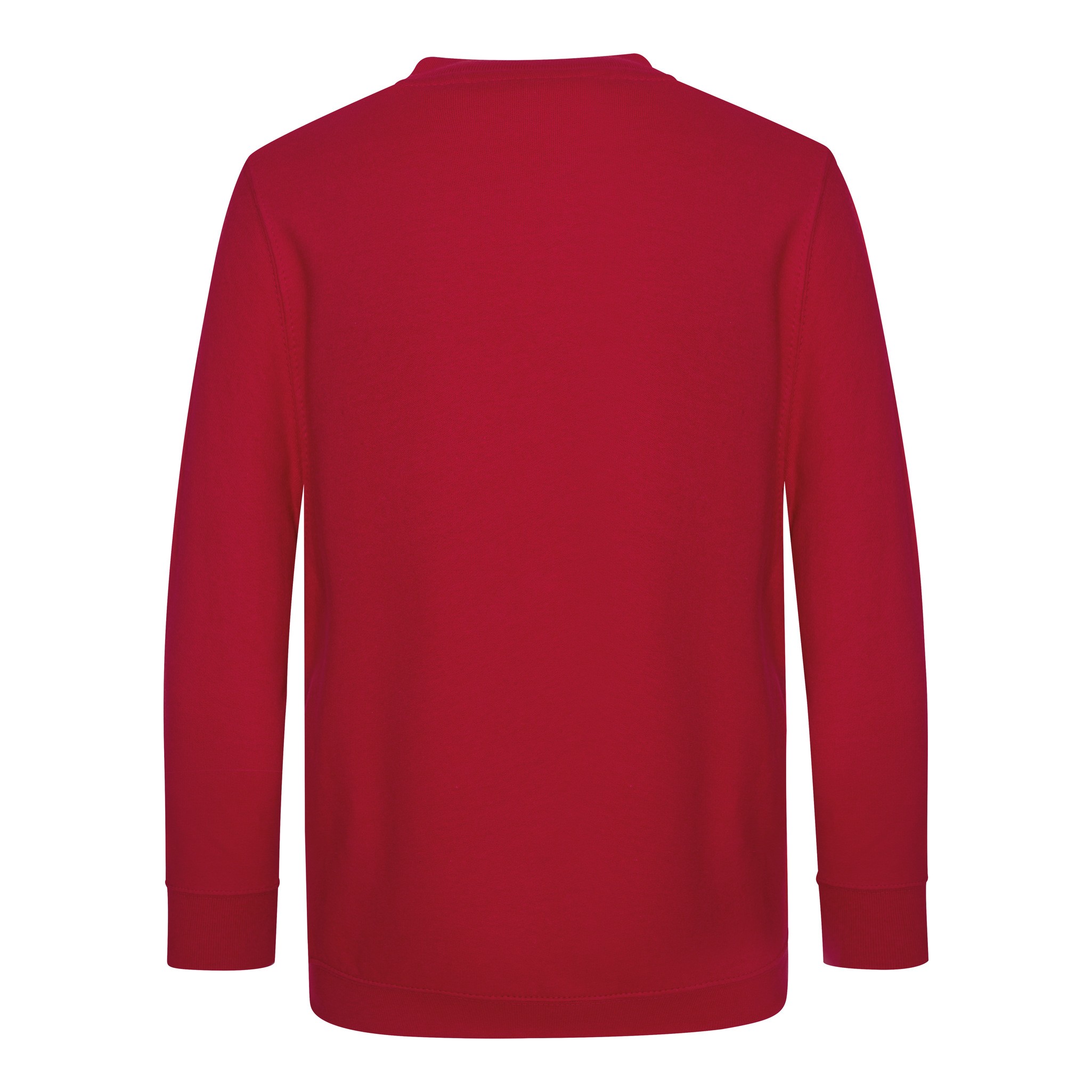 AWDis Academy V-neck Sweatshirt (AC003J) - Kids Boys Girls School Uniform Jumper - Picture 17 of 27