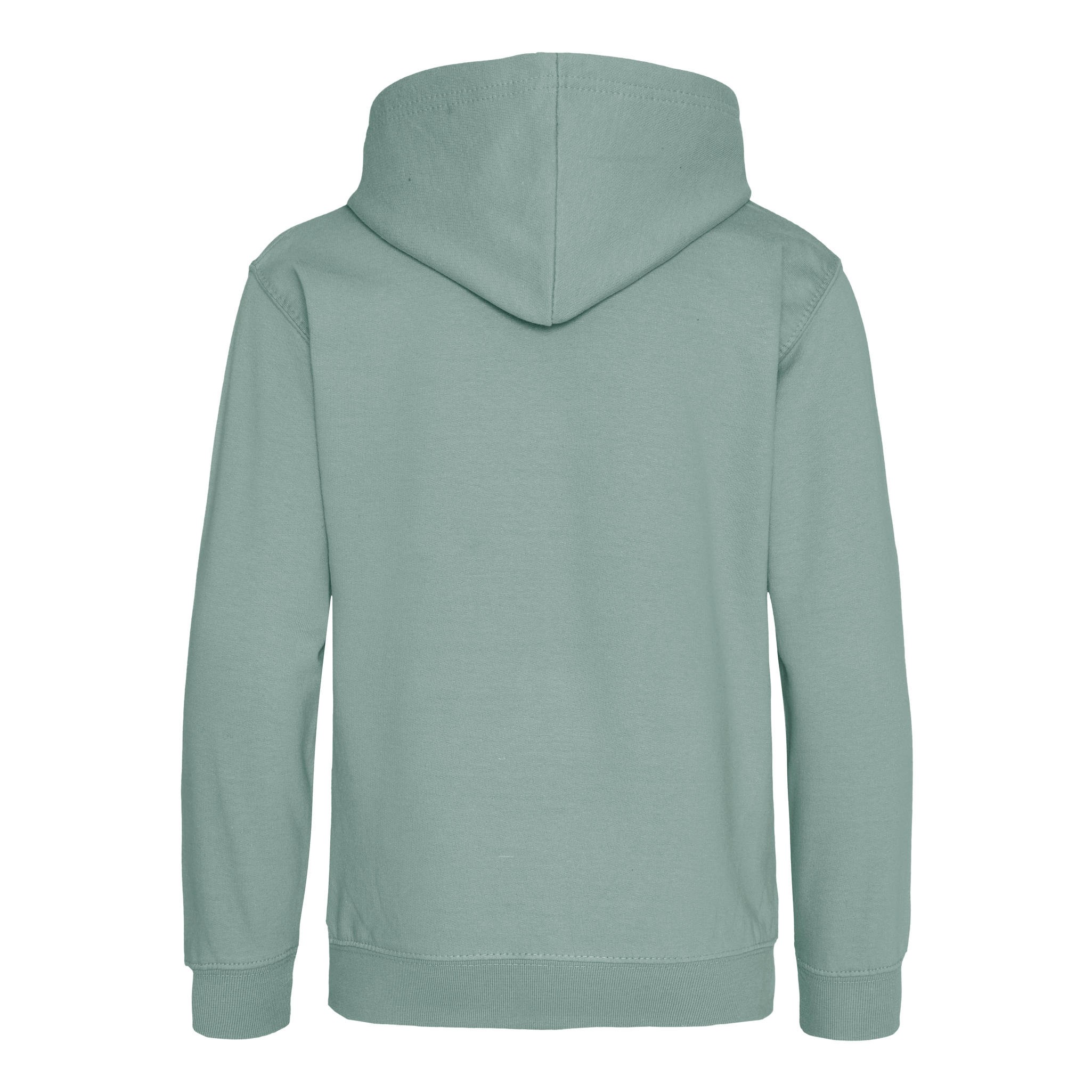 AWDis Kids Hoodie - Boys/girls casual comfortable hooded sweatshirt |Ages 1-13 - Picture 75 of 76