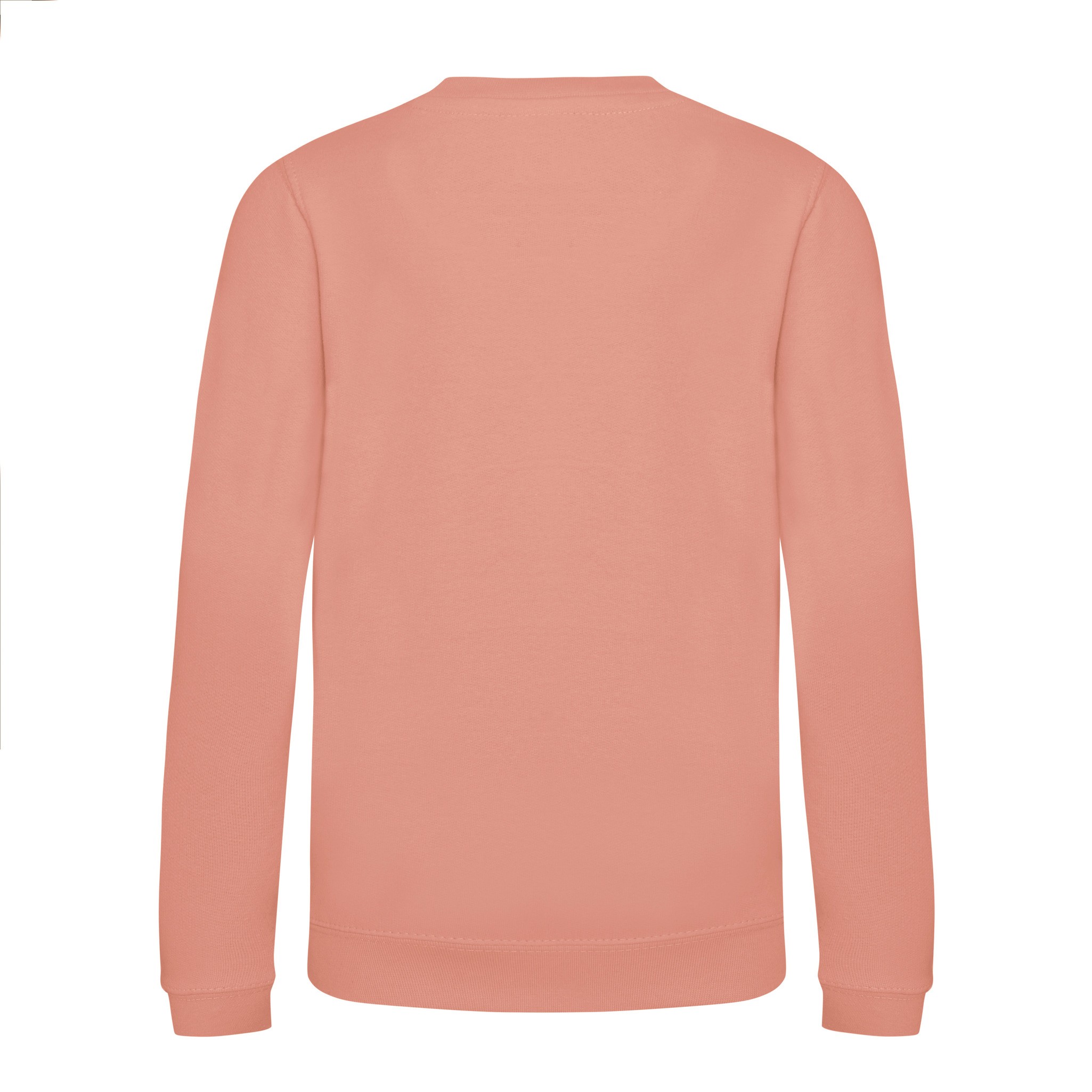 AWDis Just Hoods Enfants Sweat-Shirt JH030J - Garçons Filles Plaine Occasionnel - Picture 22 of 40