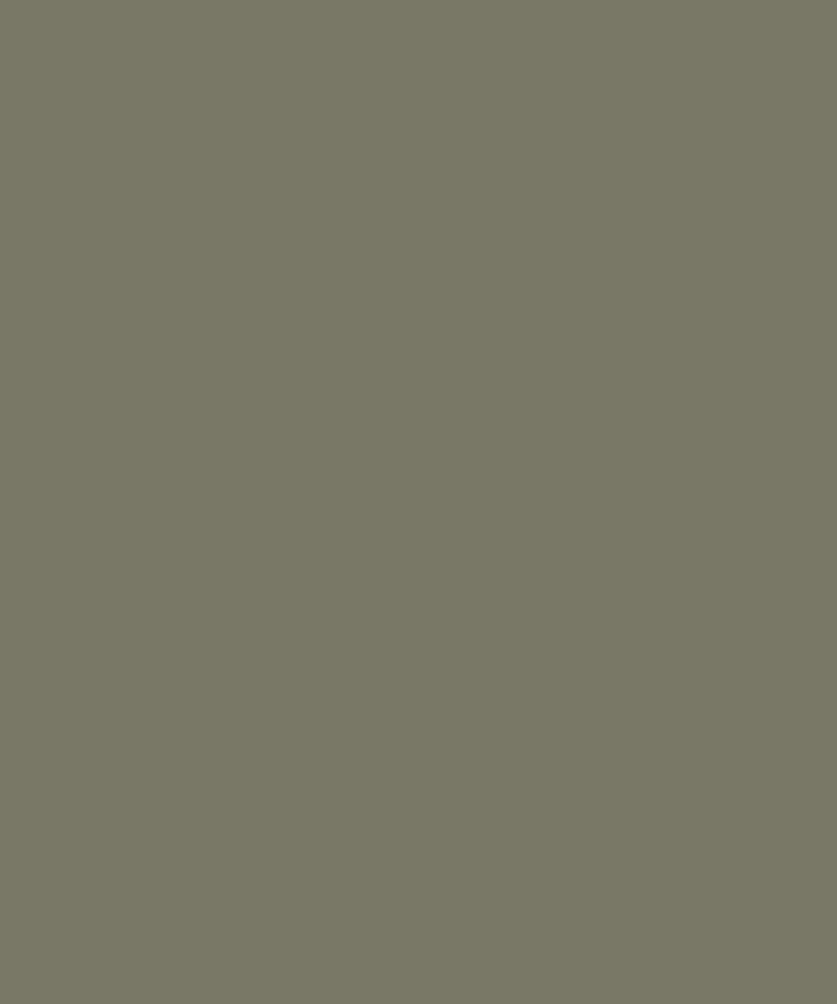 Afbeelding 29 van 106