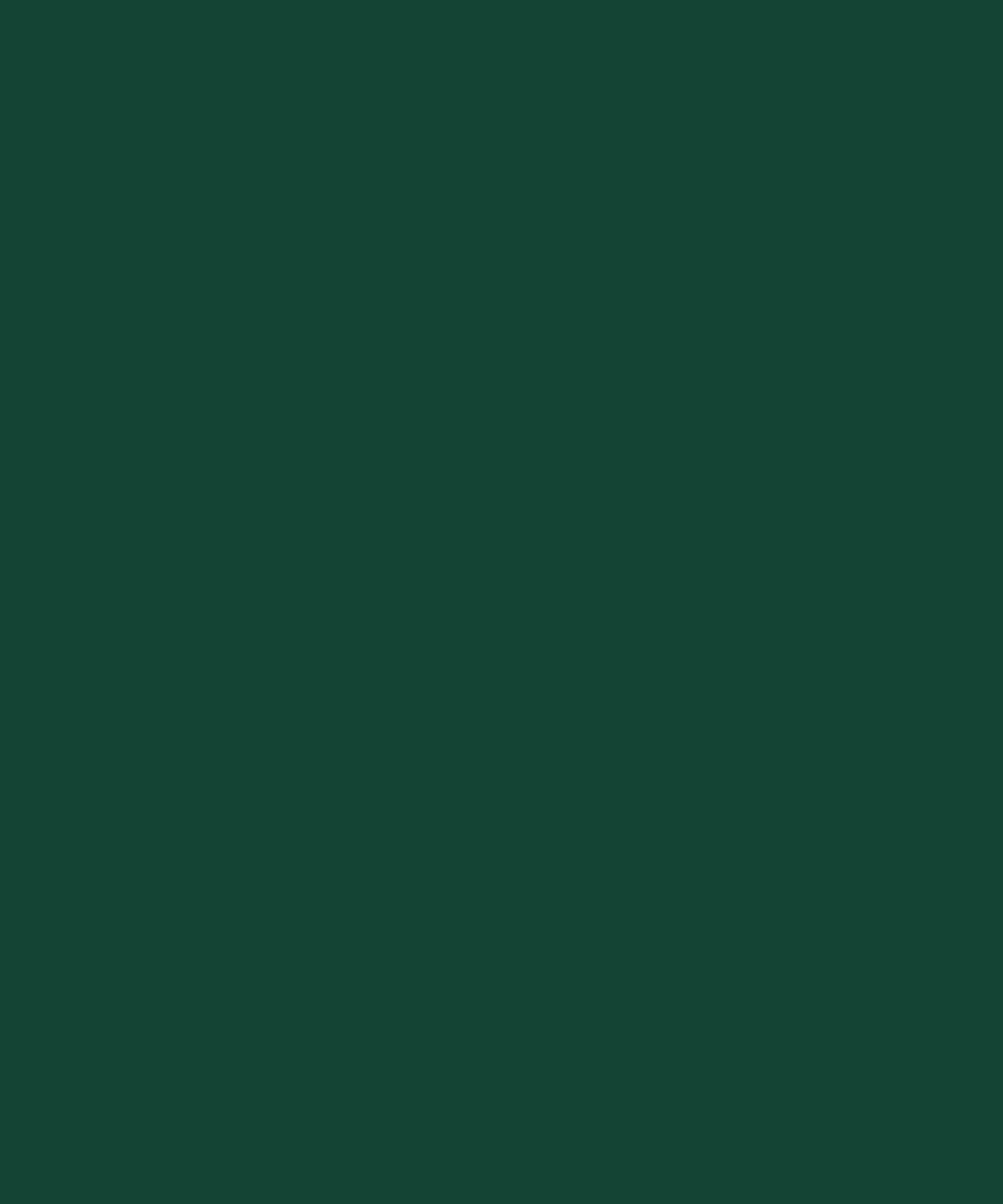 Afbeelding 103 van 106