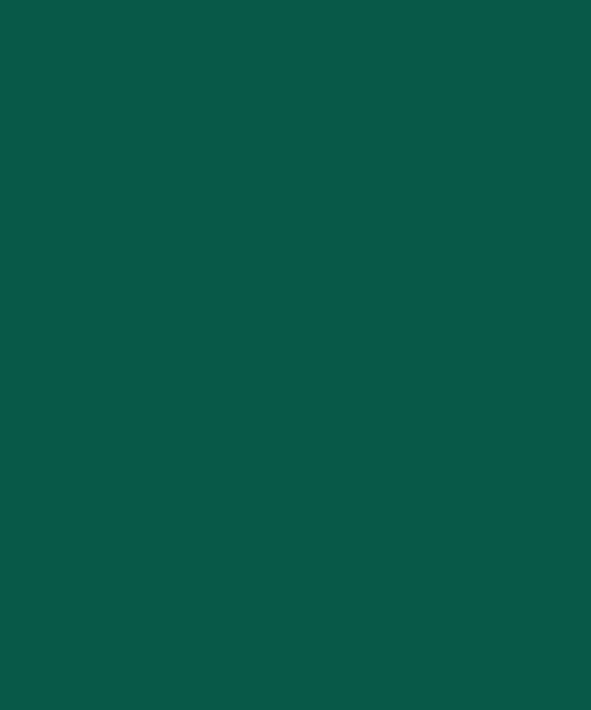 Afbeelding 106 van 106