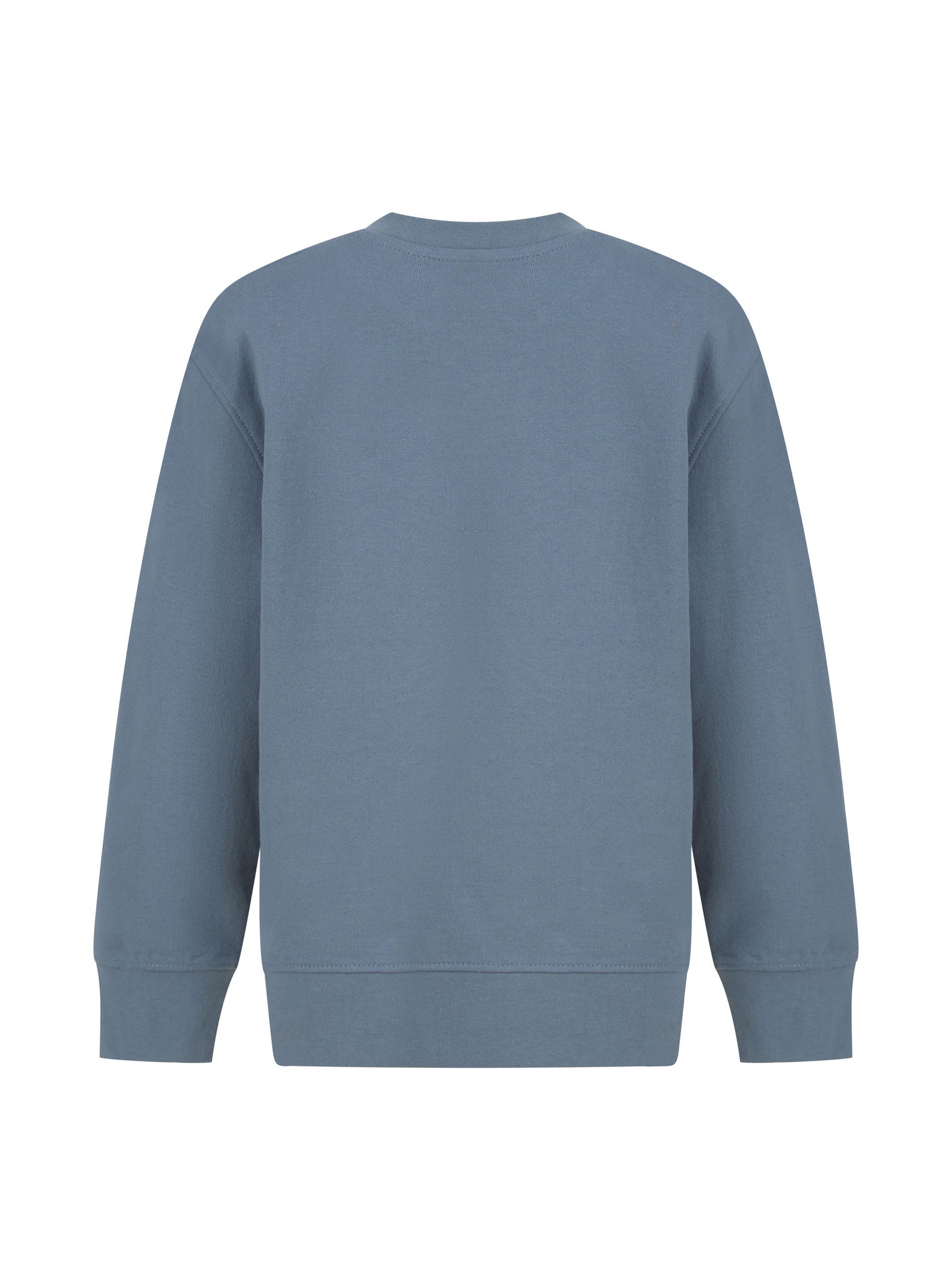 SF Minni Kids Sustainable Fashion Curved Hem Sweatshirt SM530 - Full Sleeves - Picture 14 of 28