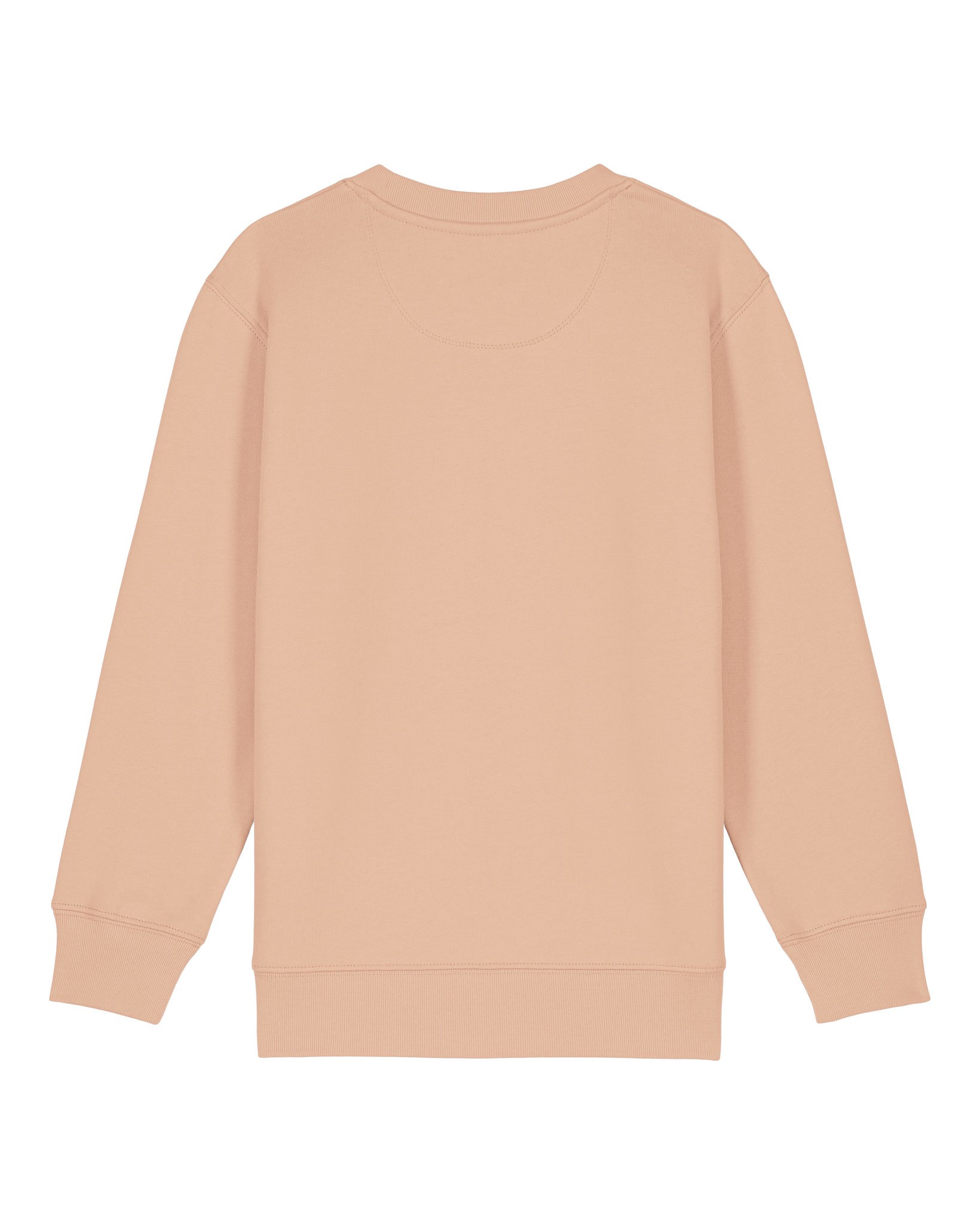 Stanley/Stella Kids Mini Changer 2.0 iconic crew neck sweatshirt (STSK181) STSK1 - Picture 31 of 38